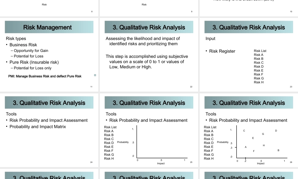 09_0_Risk_090906.ppt