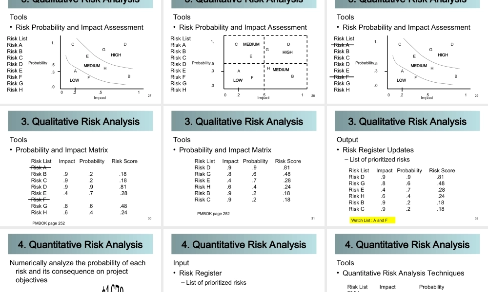 09_0_Risk_090906.ppt