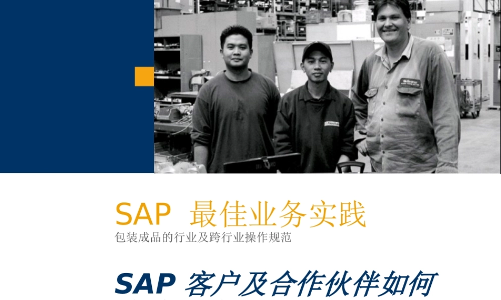 500强SAP商务PPT模板.ppt