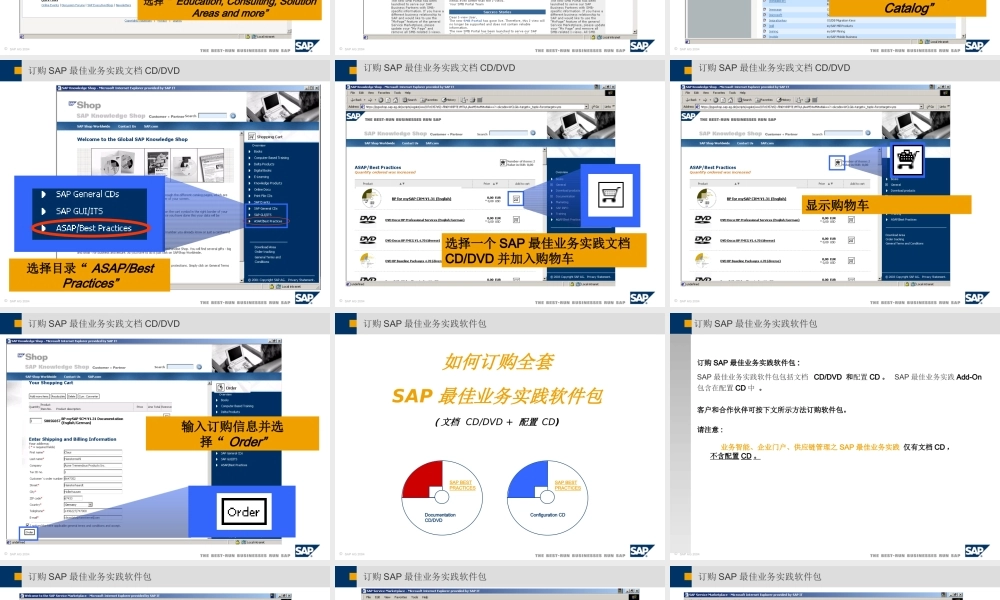 500强SAP商务PPT模板.ppt