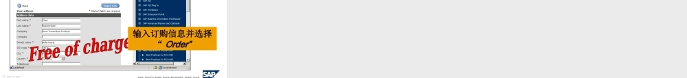 500强SAP商务PPT模板.ppt