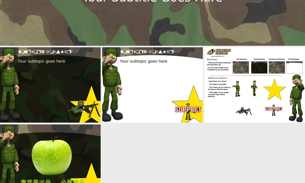 government_issue042.ppt