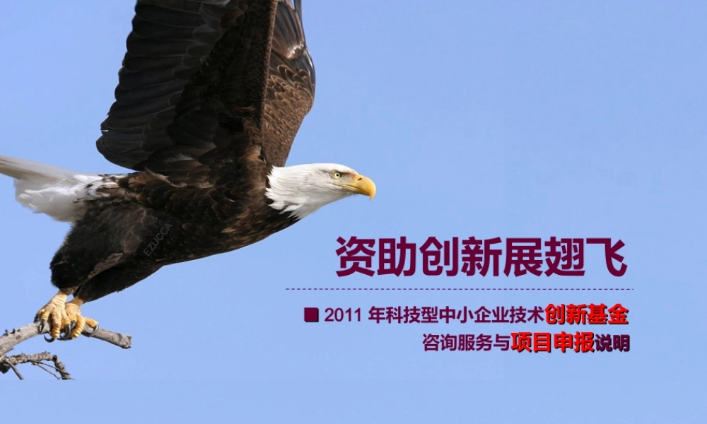 2011创新基金申报.ppt