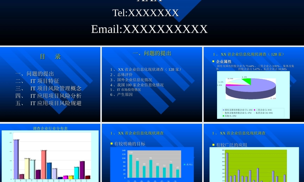 IT项目风险管理研究.ppt