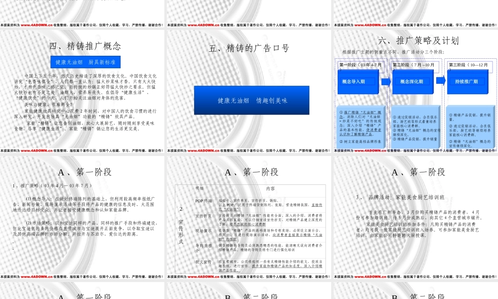 Kern家能精铸产品上市方案.ppt