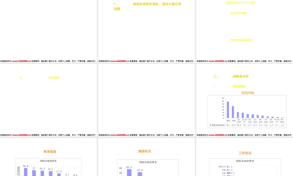 CAV音响整合传播策划.ppt