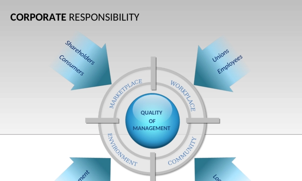 daidai_结构图表.ppt