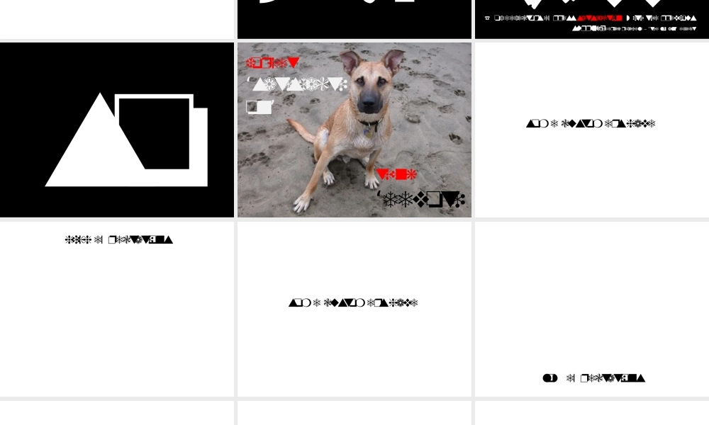 how-to-create-devoted-customers1146.ppt