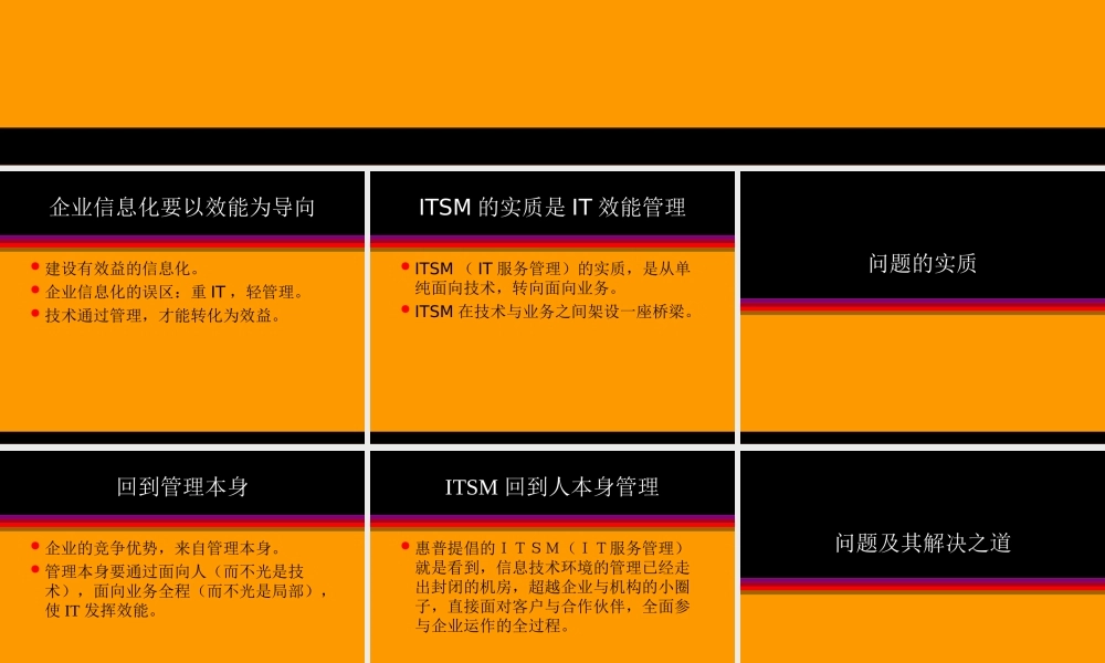 IT效能管理.ppt