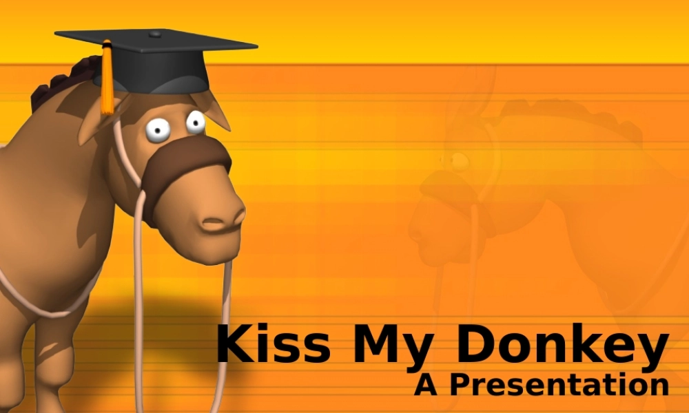 kiss_my_donkey014.ppt