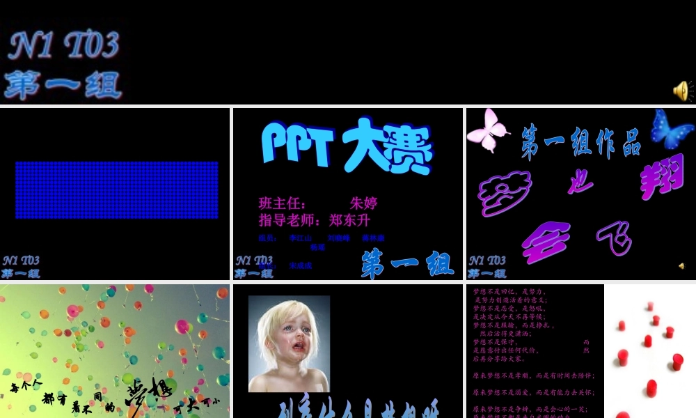 N1T03第一组.ppt