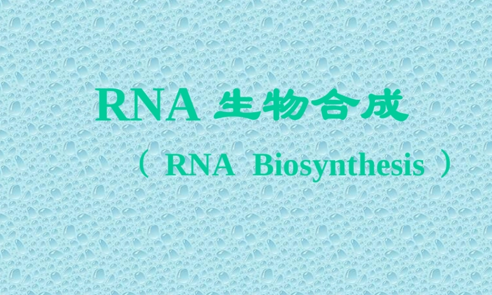 RNA生物合成.ppt