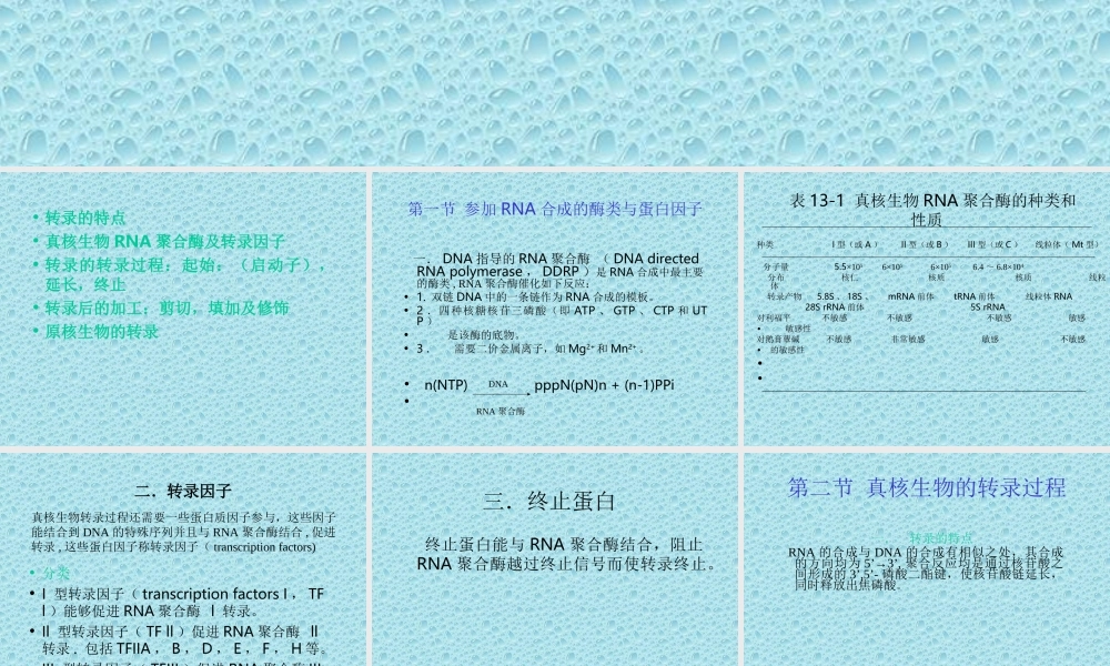 RNA生物合成.ppt
