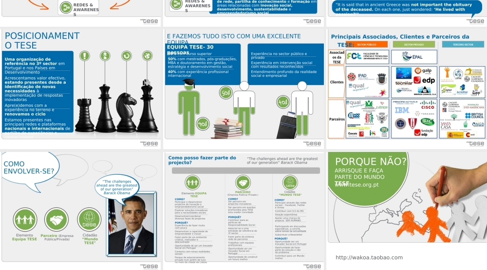 tese网站介绍PPT.ppt