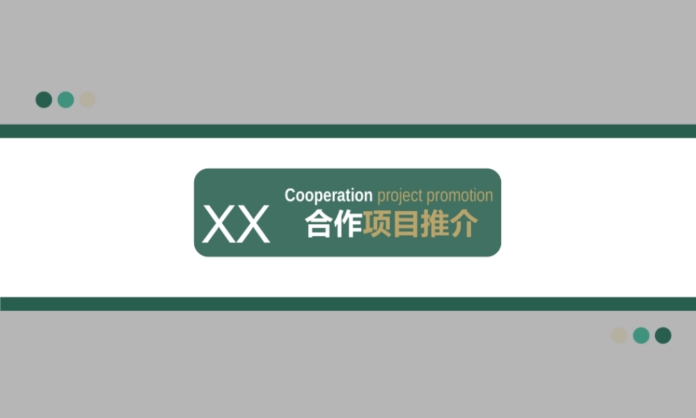 XXXX项目合作推介-6-2003_-_副本.ppt