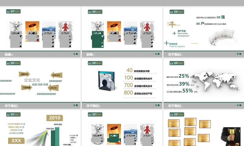 XXXX项目合作推介-6-2003_-_副本.ppt