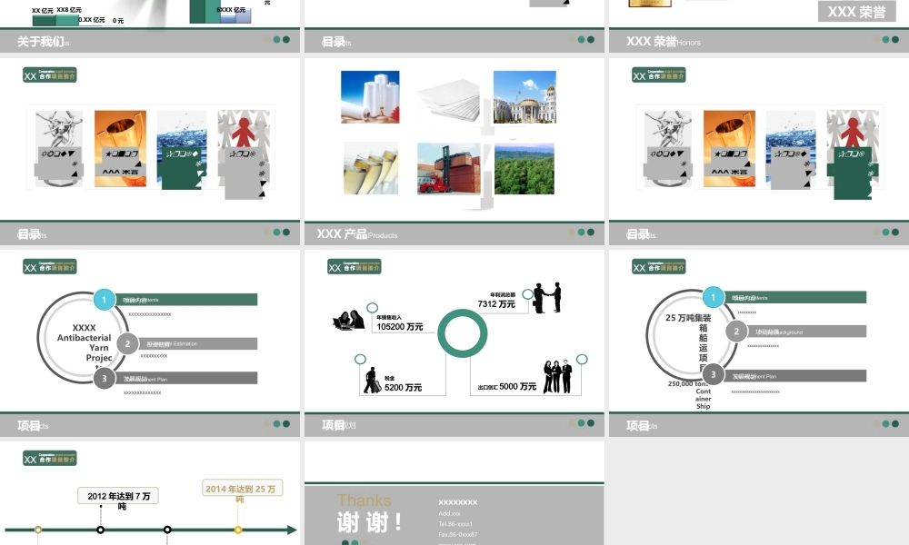 XXXX项目合作推介-6-2003_-_副本.ppt
