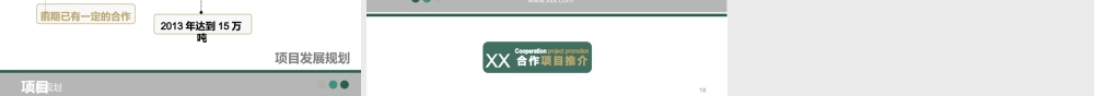 XXXX项目合作推介-6-2003_-_副本.ppt