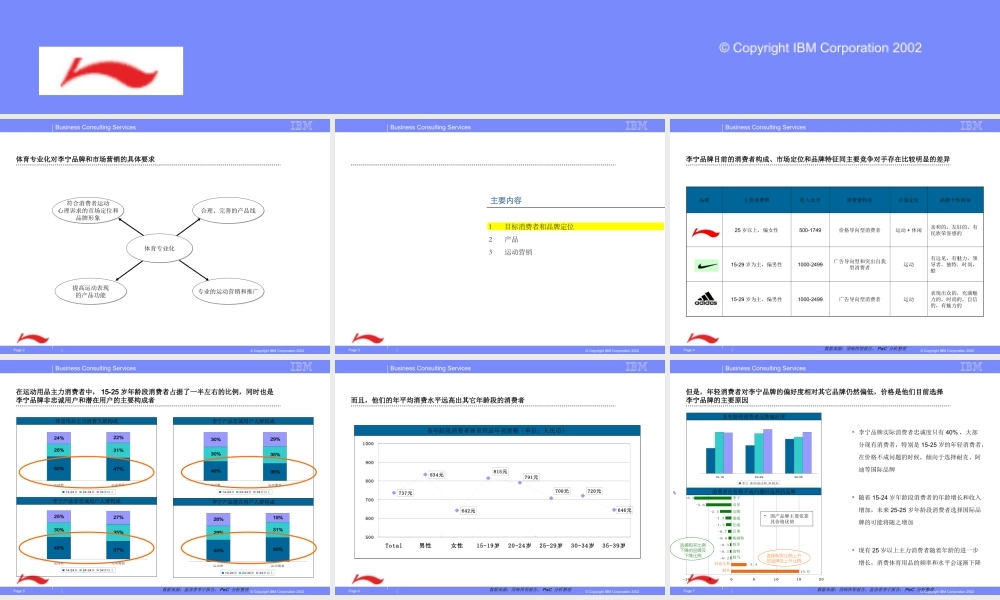 IBM咨询业务PPT模板.ppt