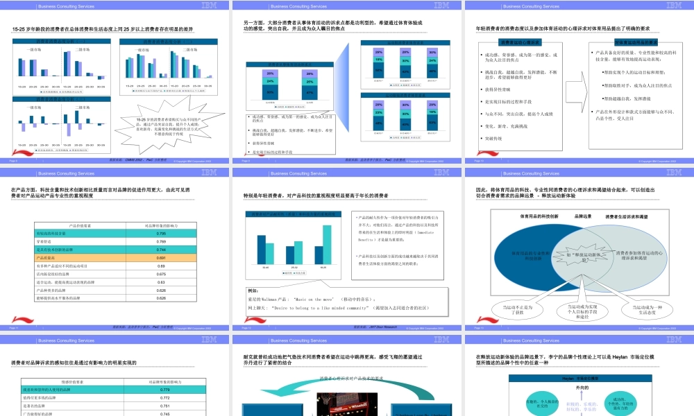 IBM咨询业务PPT模板.ppt