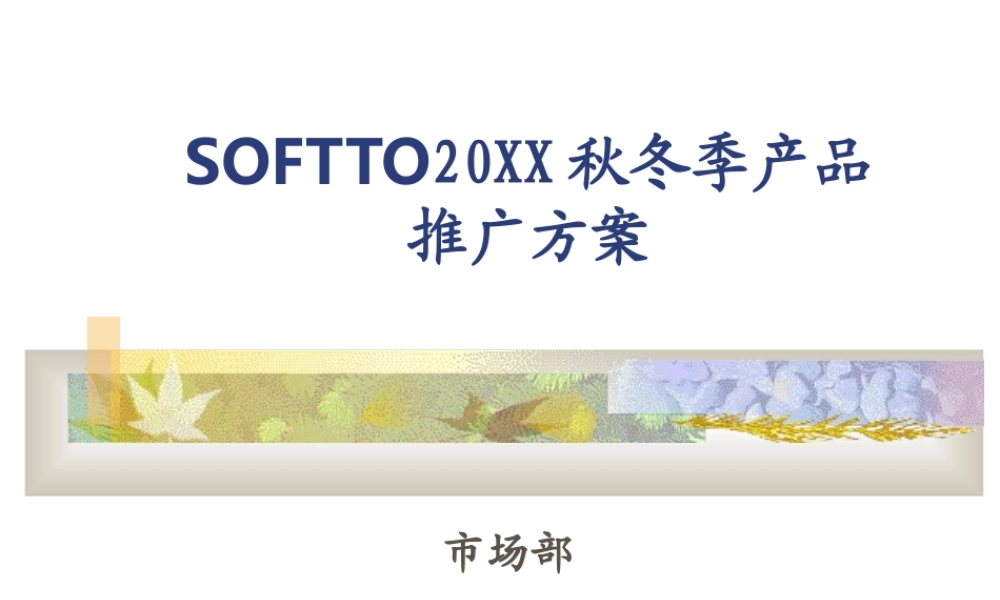 SOFTTO产品推广方案.ppt