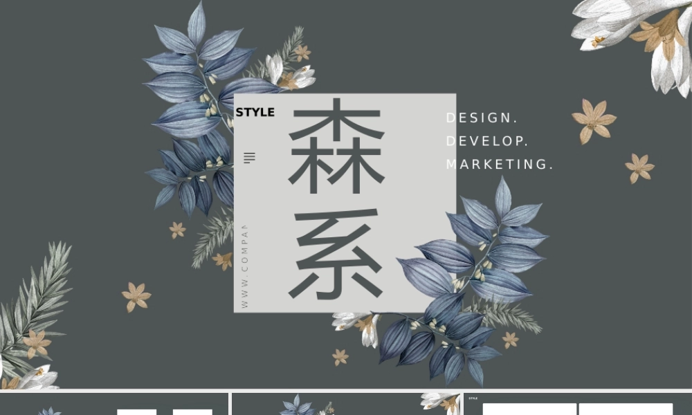 产品发布 (16).pptx