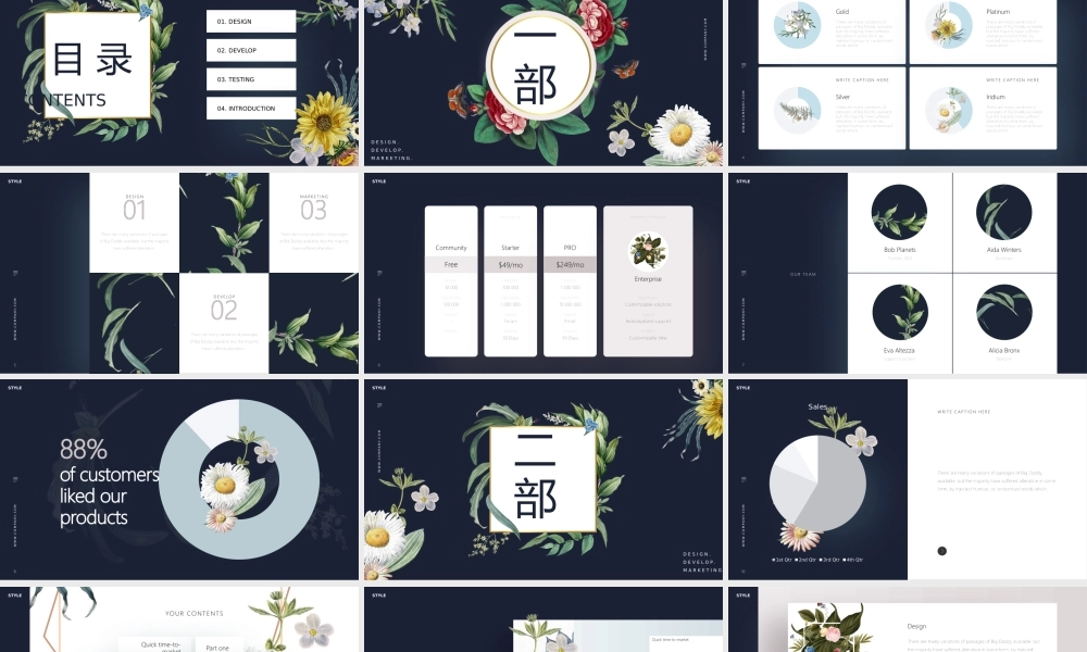 产品发布 (14).pptx