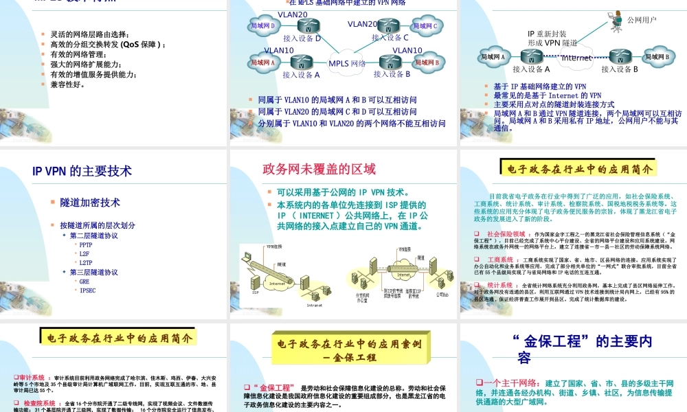 电子政务在行业中的应用.ppt