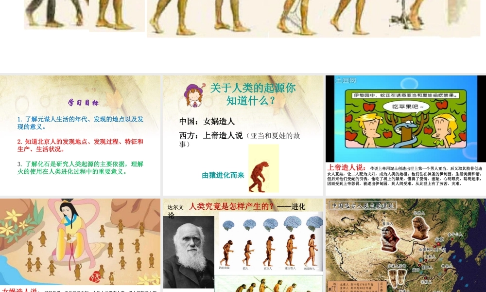 第01课 中国早期人类的代表—北京人-3.ppt