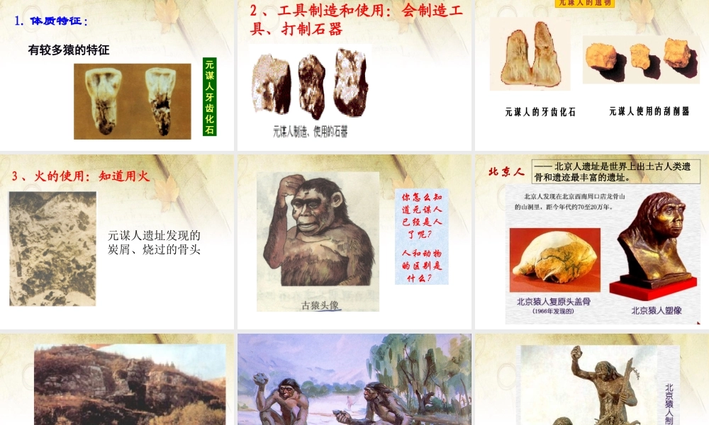 第01课 中国早期人类的代表—北京人-3.ppt