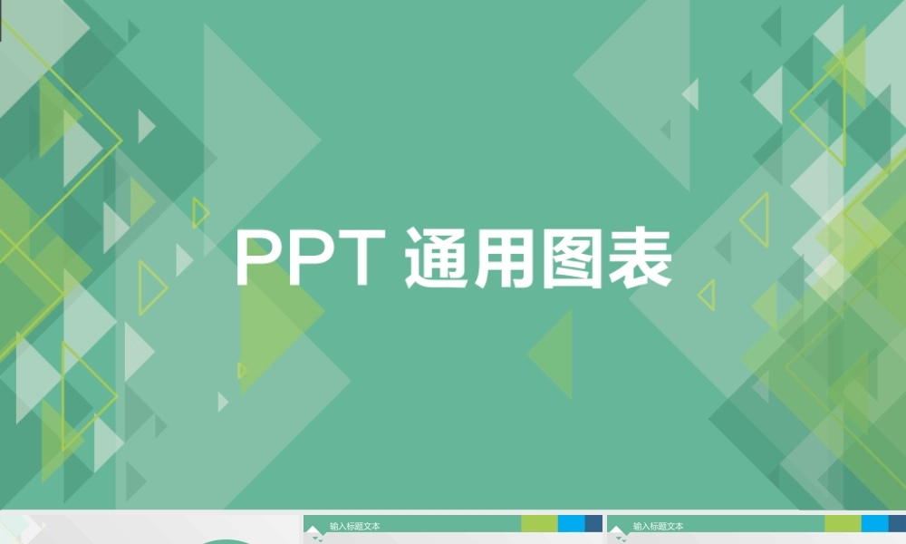动态 64 亮亮图文.pptx