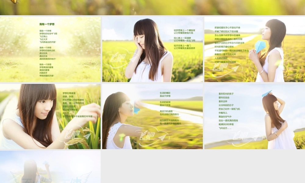 飞吧(压缩版).ppt