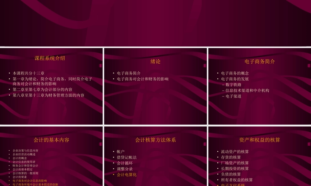 电子商务中的财务与会计.ppt