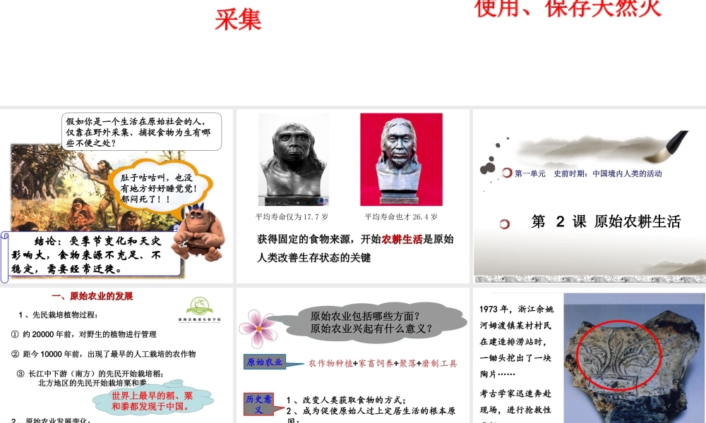 第02课 原始农耕生活-5.ppt