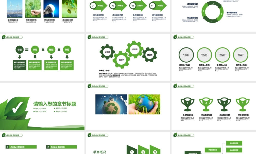 动态 75亮亮图文.ppt