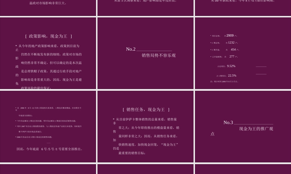 博思堂-杭州依萨卡国际城房地产项目整合市场攻击方案-63PPT.ppt