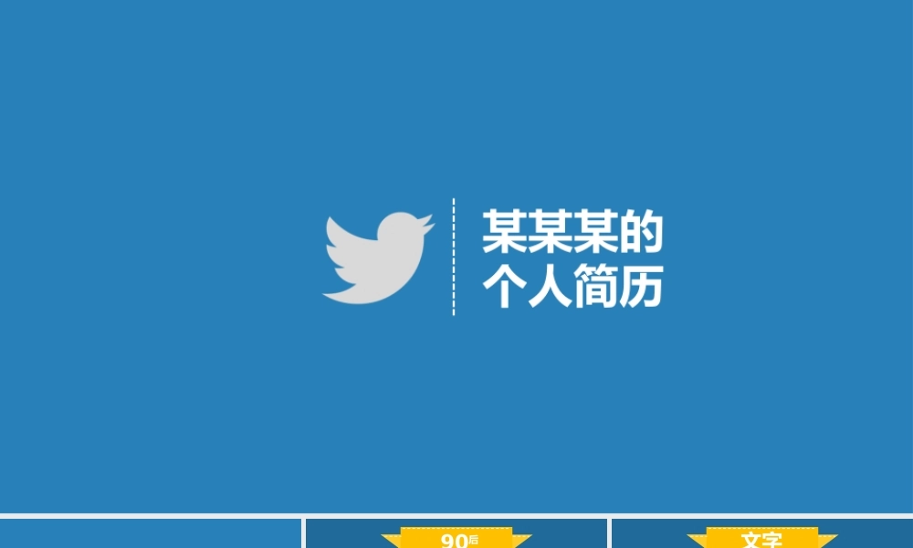 动态 95 亮亮图文.ppt