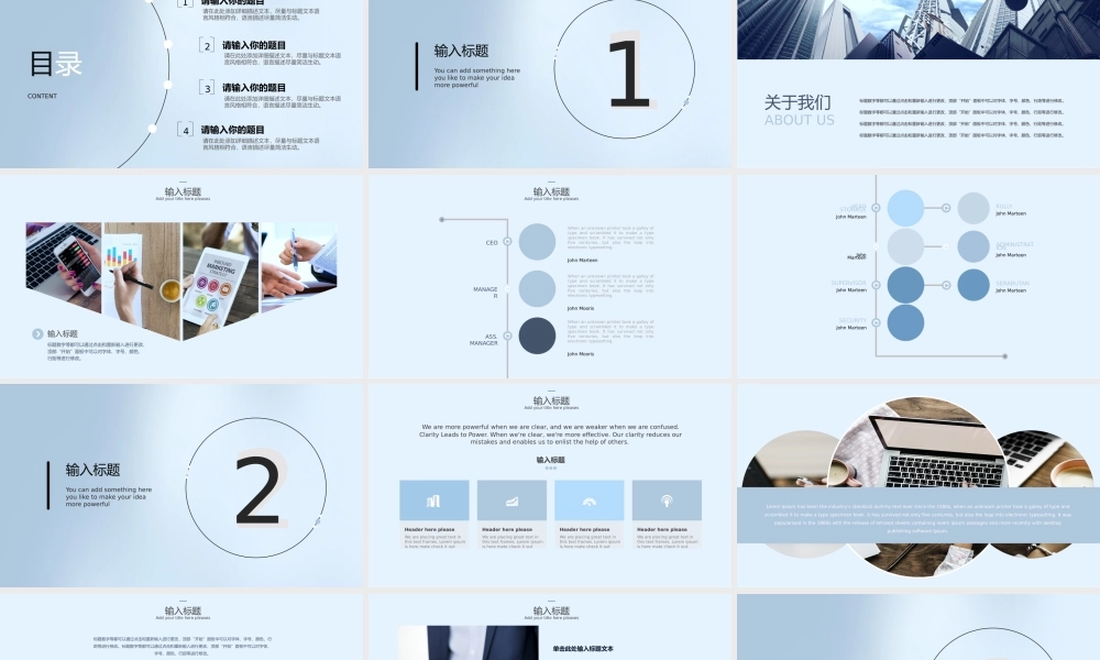 工作汇报(79).pptx