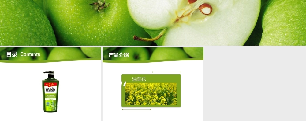 WALCH海藻沐浴露模版.pptx