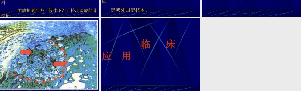 固骼生简介2.ppt