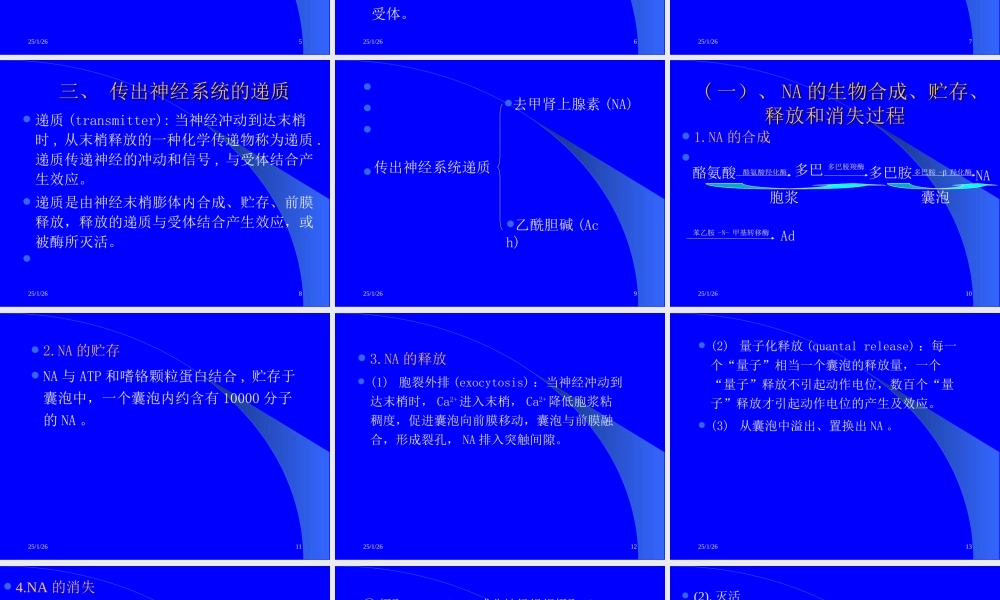 传出神经系统药理概论.ppt