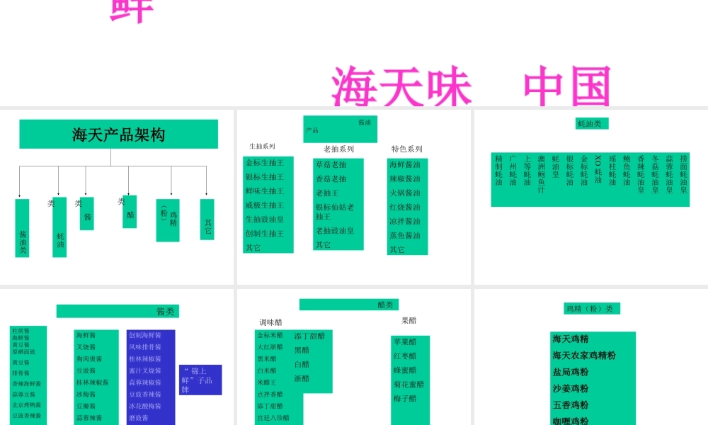 海天产品架构.ppt