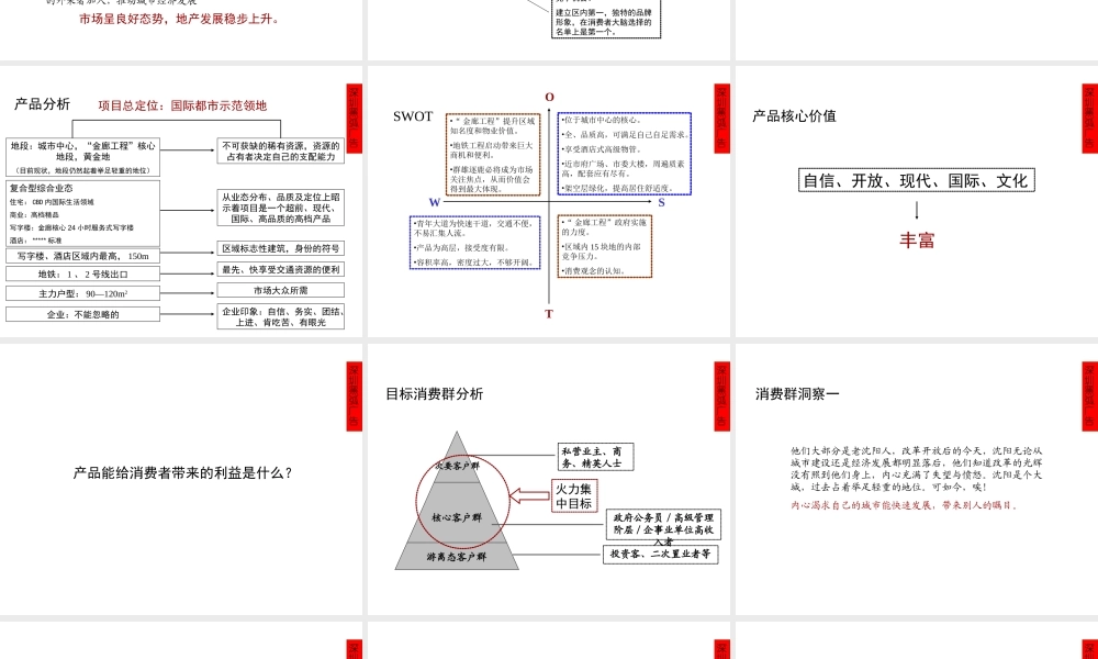黑弧广告沈阳青年大街某项目沟通策略42页.ppt