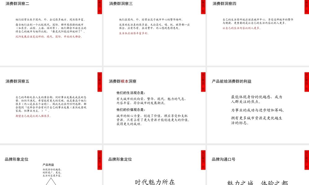 黑弧广告沈阳青年大街某项目沟通策略42页.ppt