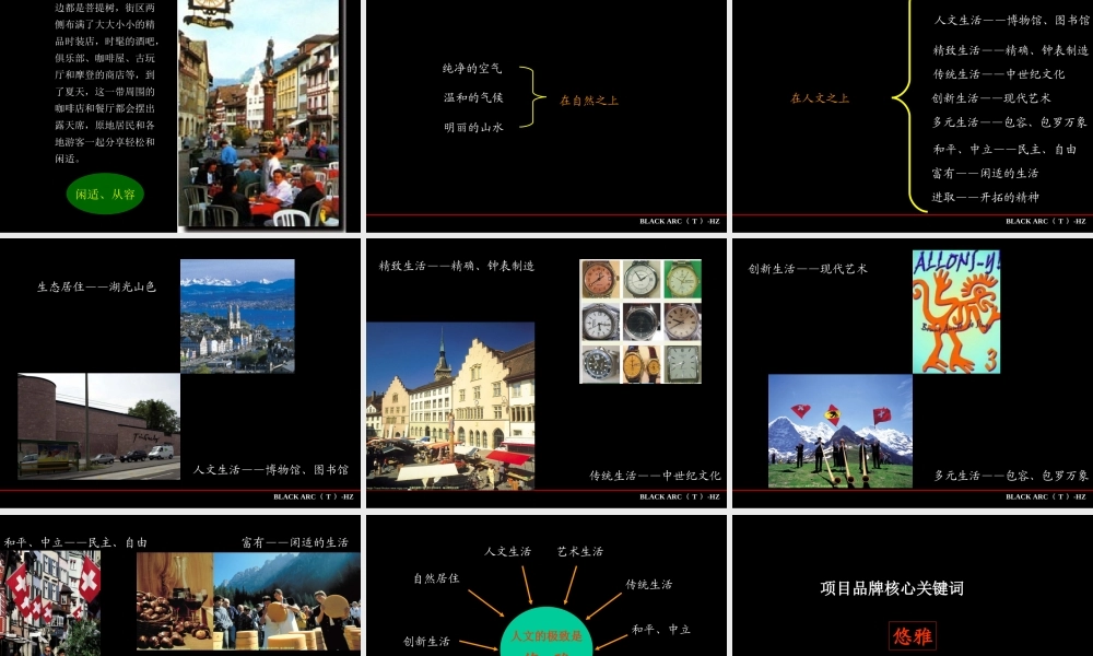 黑狐-苏黎士小镇广告提案-64PPT.ppt