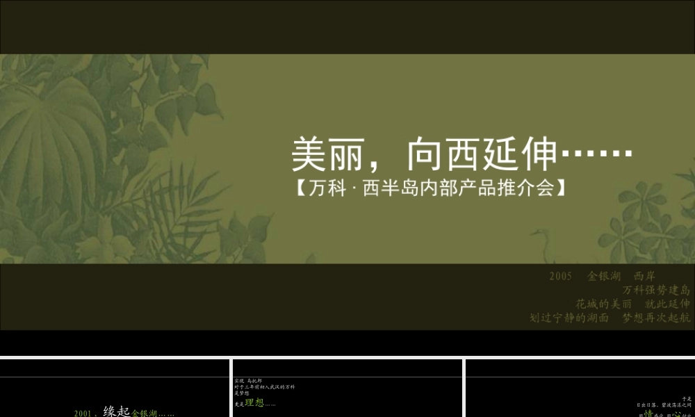 黑弧万科·西半岛PP.ppt