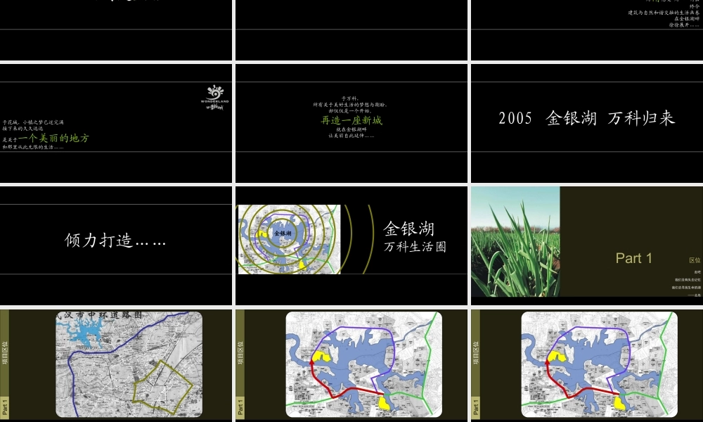 黑弧万科·西半岛PP.ppt