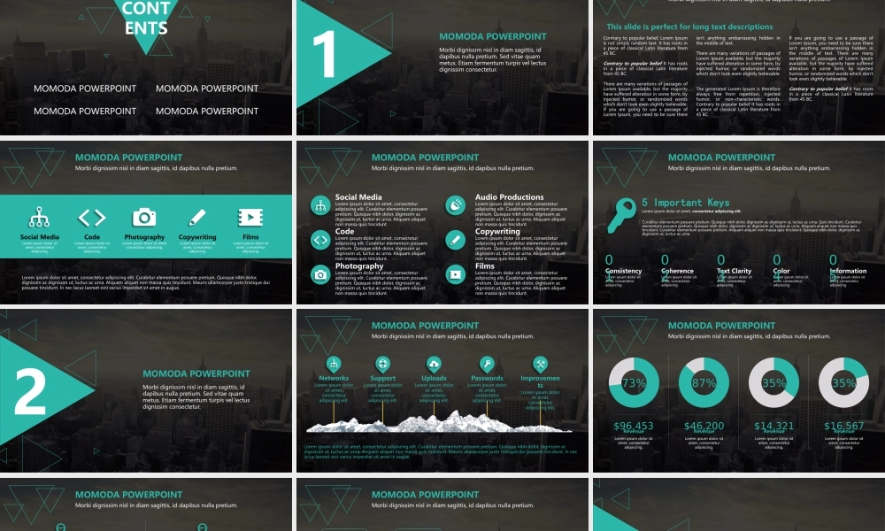 亮亮图文论文答辩10.pptx