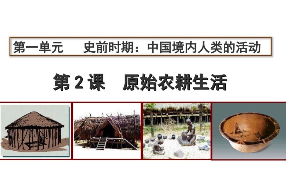第02课 原始农耕生活-4.ppt