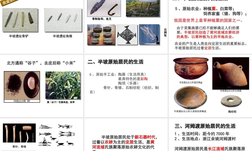 第02课 原始农耕生活-4.ppt